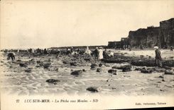 CPA Luc Sur Mer La Peche Aux Moules