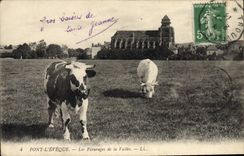 CPA Pont L'Eveque Les Paturages De La Vallee
