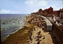 CPSM Saint Aubin Sur Mer La Plage Et I'Esplanade