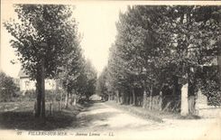 CPA Villers Sur Mer Avenue Leonie
