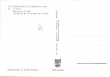 CPSM La Tremblade Le Port Scene Ostreicole triage des huitres