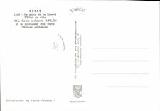 CPSM Brest La Place De La Liberte L'Hotel De Ville