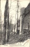 CPA Provins La Grand Muraille echauguettes et poterne du trou au chat