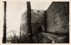 CPA Provins Le Trou Au Chat