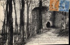 CPA Provins Les Fortifications trou au chat