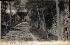 CPA Provins Le Trou Au Chat