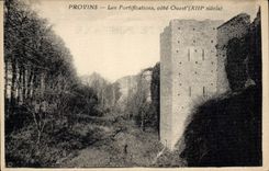 CPA Provins Les Fortifications Cote Ouest
