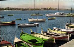 CPA Antibes Vue D'Ensemble