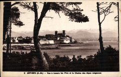 CPA Antibes Vue A Travers Les Pins Et La Chaine Des Alpes