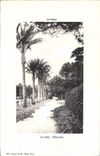 CPA Antibes Le Cap Eilenroc