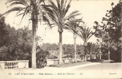 CPA Antibes Villas Eilenroc Allee Des Palmiers Cap
