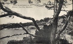 CPA Cap D'Antibes Eilenroc Les Pins Maritimes