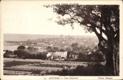 CPA Antibes Vue Generale