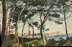 CPA Antibes La Ville Vue A Travers Les Pins De La Corniche