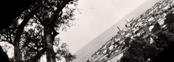 CPA Antibes Vue Generale