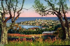 CPA Antibes Panorama Vu A Travers Les Oliviers