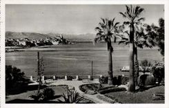 CPA Antibes La Chaine Des Alpes