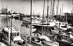 CPA Antibes Le Port Et Le Fort Carre