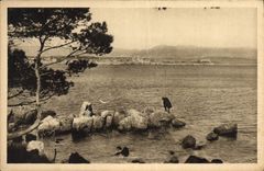 CPA Antibes L'Anse Saint Roch
