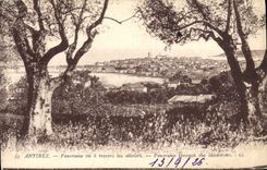 CPA Antibes Panorama Vu A Travers Les Oliviers