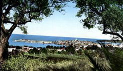 CPA Antibes Vue Generale