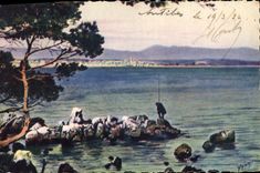 CPA Antibes L'Anse Saint Roch