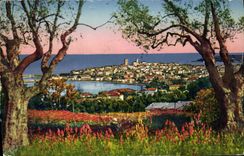 CPA Antibes Panorama Vu A Travers Les Oliviers