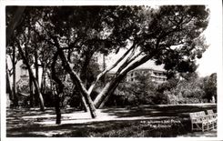 CPA Juan Les Pins la pinede