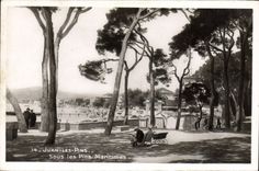 CPA Juan Les Pins Sous Les Pins Maritimes