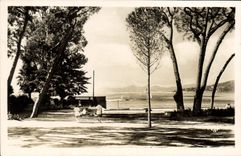 CPA Juan Les Pins Vue A Travers La Pinede