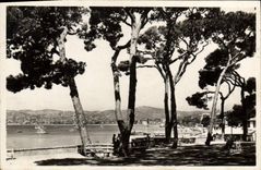 CPA Juan Les Pins Vue Sur Le Golfe Juan Depuis La Pinede