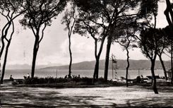 CPA Juan Les Pins La Pinede