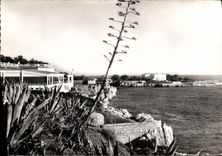 CPSM Juan Les Pins Le Cap D'Antibes Eden Roc