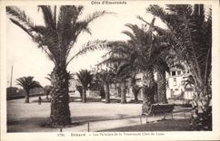 CPA Dinard Les Palmiers De La Promenade Clair de lune