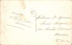 CPA Dinard Les palmiers de la Promenade Claire de lune