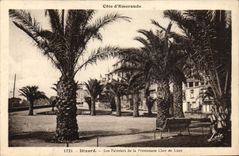 CPA Dinard Les Palmiers De La Promenade Clair De Lune