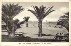 CPA Dinard Les Palmiers Au Fond St Malo