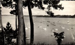 CPA Dinard Vue Du Bassin Des Yachts