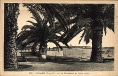 CPA Dinard La Palmeraie Et Saint Malo