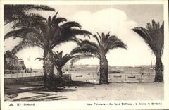 CPA Dinard Les Palmiers Au Fond St Malo Brittany