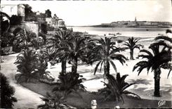 CPA Dinard La Palmeraie Au Fond Saint Malo
