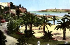 CPA Dinard La Palmeraie Au Fond Saint Malo