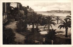 CPA Dinard La Palmeraie Au Fond St Malo