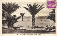 CPA Dinard Les Palmiers Au Fond St Malo