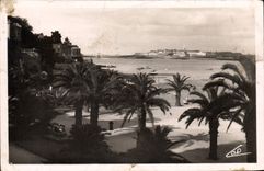 CPA Dinard La Palmeraie Au Fond St Malo