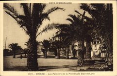 CPA Dinard Les Palmiers De La Promenade Clair De Lune