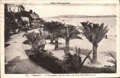 CPA Dinard La Promenade Clair De Lune palmeraie du port