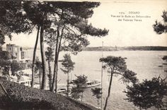 CPA Dinard Vue Sur La Rade Au Debarcadere des vedettes vertes