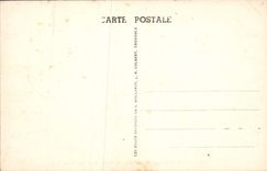 CPA Grenoble L'Isere I'Ille Verte Les Hopitaux Et Les Alpes