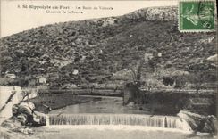 CPA St Hippolyte Du Fort Les Bords Du Vidourle